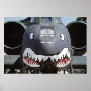 Póster A-10 rayo II