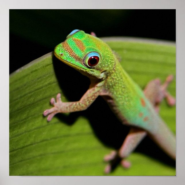 Póster A Baby Green Gecko (Frente)