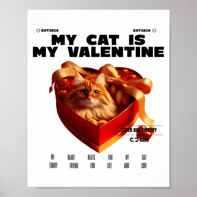 Póster A Cat In The Box Therapy Happy Valentine Day Funny (Frente)