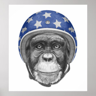 Póster A Chimpanzee Motorcycle Rider