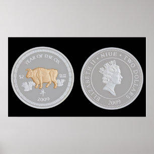 Póster A commemorative silver coin