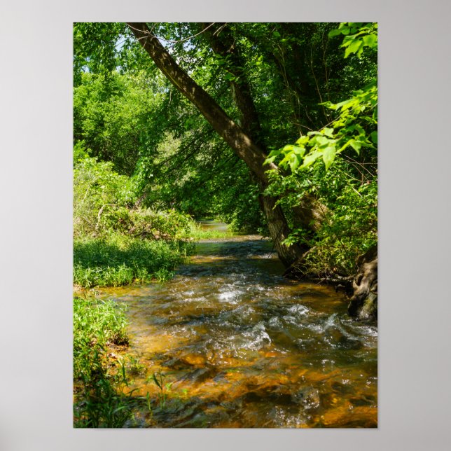 Póster A Country Creek (Frente)