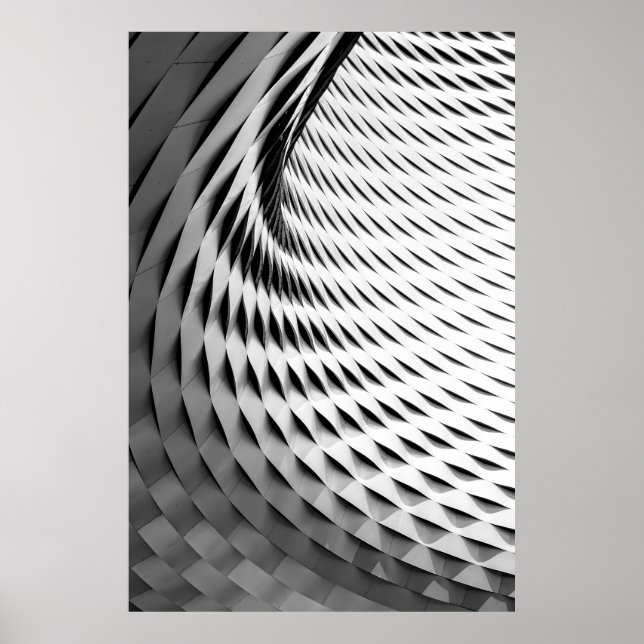 PÓSTER A CURVED FACADE COVERED IN WHITE LATTICEWORK (Frente)