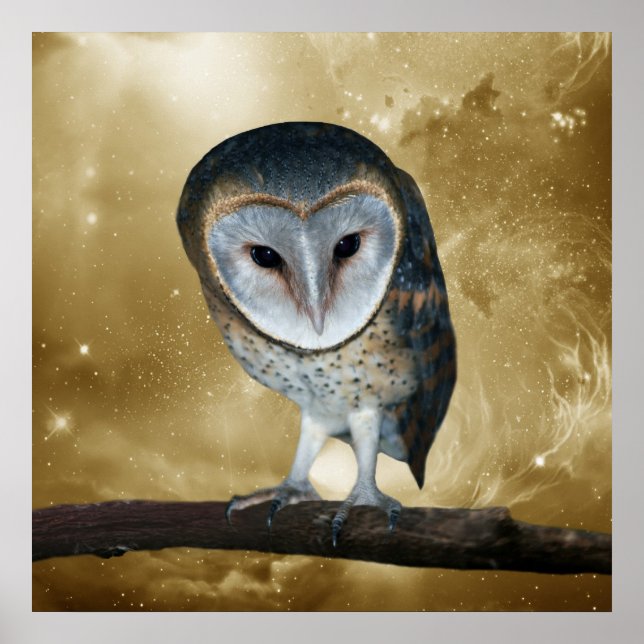 Póster A Cute little Barn Owl Fantasy (Frente)
