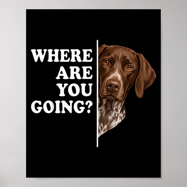 Póster ¿A dónde vas Pointer alemán de pelo corto perro (Frente)