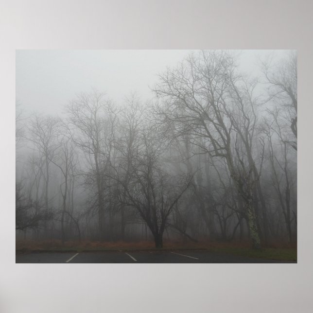 Póster A foggy day on the Skyline Drive in Virginia (Frente)