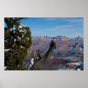 Póster A Grand Canyon Throne 2938 Print