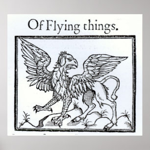 Póster A Griffin