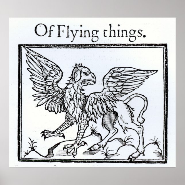 Póster A Griffin (Frente)