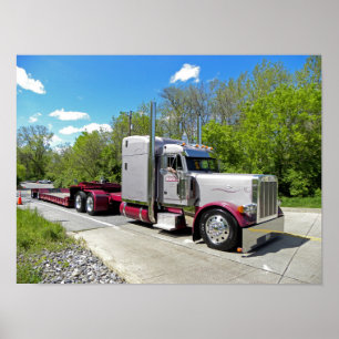 Póster A. Horning 379 Poster