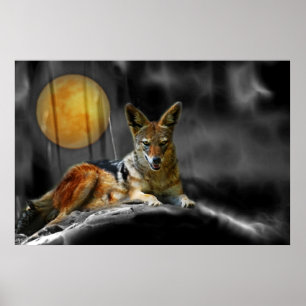 Póster A la luz de la luna