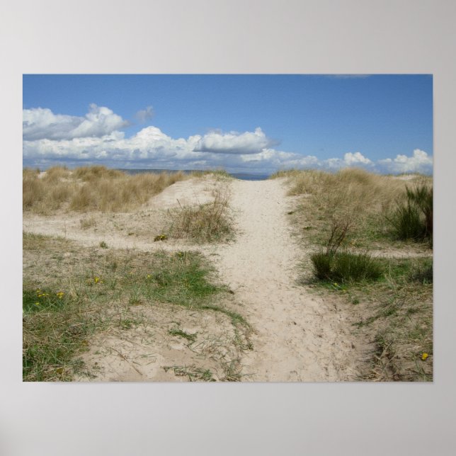 Póster A la playa (Frente)