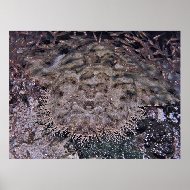 Póster A la vista (Frente)