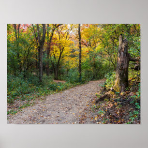 Póster a lo largo de la sinuosa ruta forestal de las coli