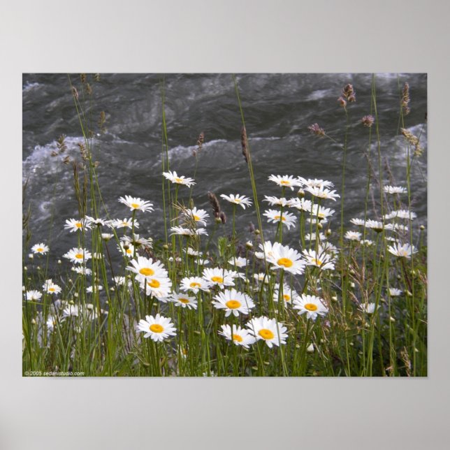 Póster A lo largo del flujo (Frente)