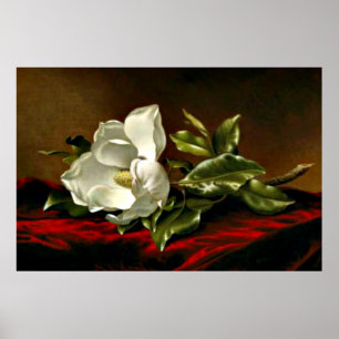 Póster A Magnolia on Red Velvet