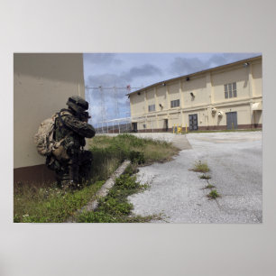 Póster A Marine posts security