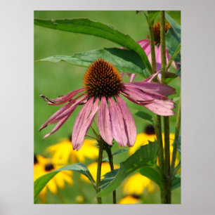 Póster A medida que el jardín crece