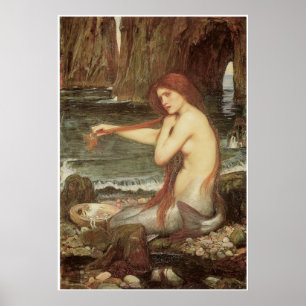 Póster A Mermaid