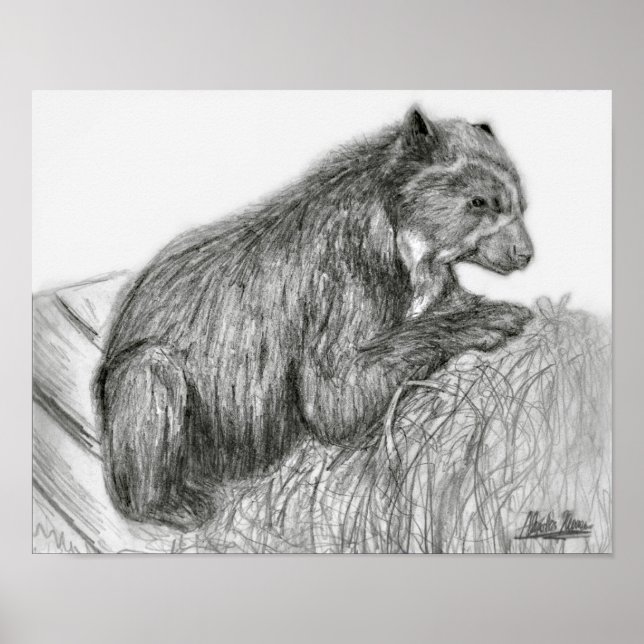 Póster A. Neuman Bubu Print (Frente)