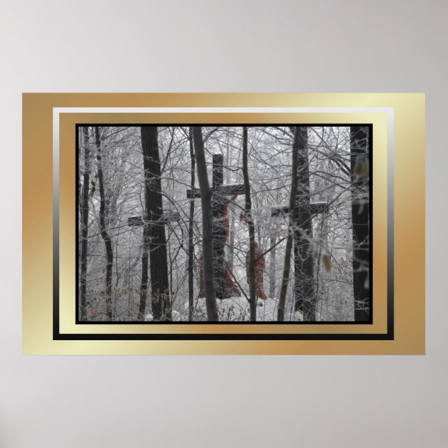 Póster A pesar del hielo y la niebla (Frente)