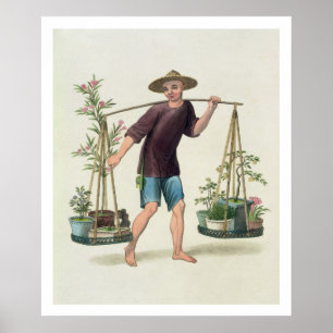 Póster A Porter with Fruit Trees and Flowers, plate 16 fr