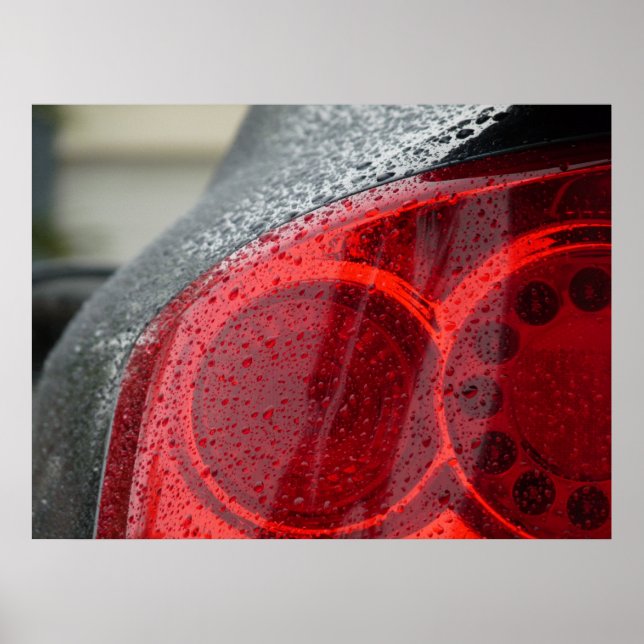 Póster A Rare View (Frente)