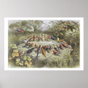 Póster A Rehearsal in Fairy Land, illustration from 'In F
