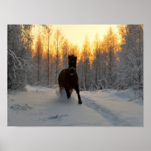 Póster A Running Horse at winter in Finland