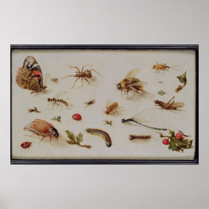 Póster A Study of Insects