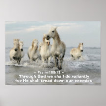 A través de Dios haremos Salmo Valiente 108:13