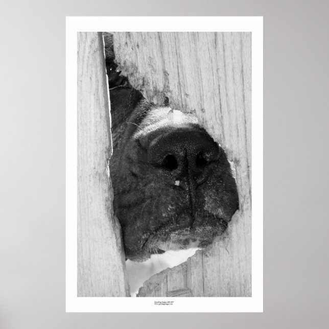 Póster A través de la cerca (Frente)