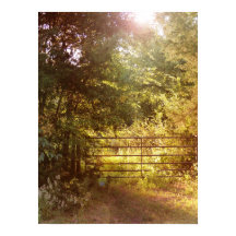 A través de la puerta del campo