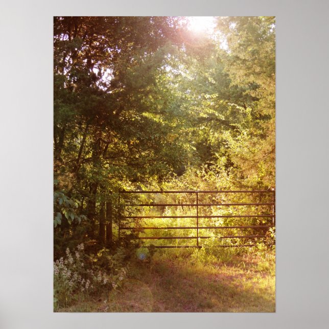 Póster A través de la puerta del campo (Frente)