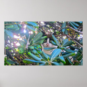 Póster A través de las hojas