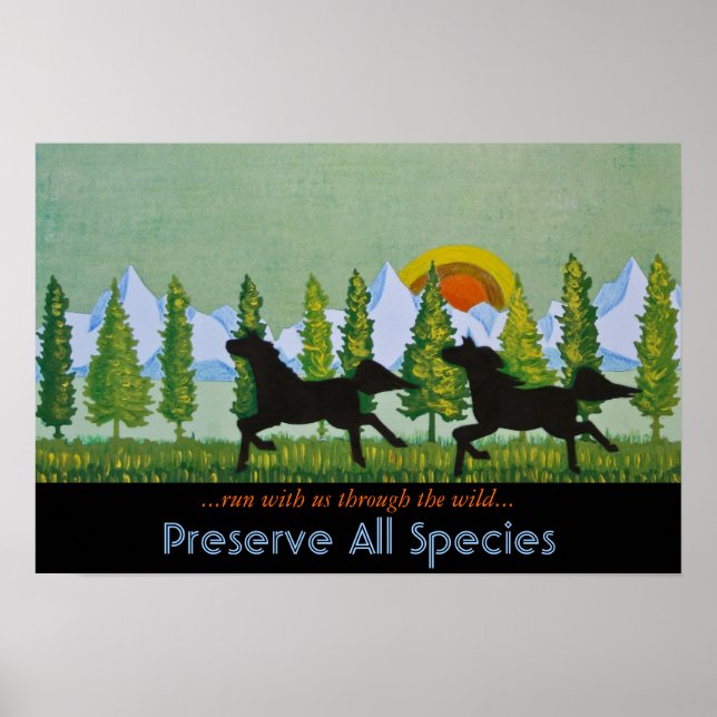 Póster A través de lo salvaje (Frente)