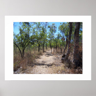 Póster A través de los árboles Australia Fotografía en co