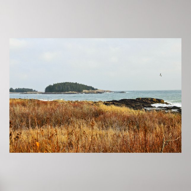 Póster A través de los campos de otoño (Frente)