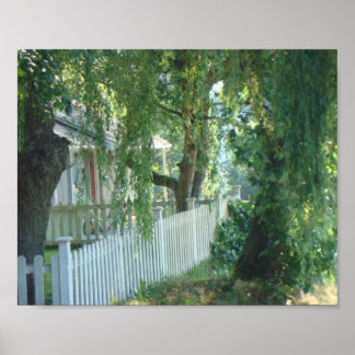 Póster A través del llorando Poster Willow