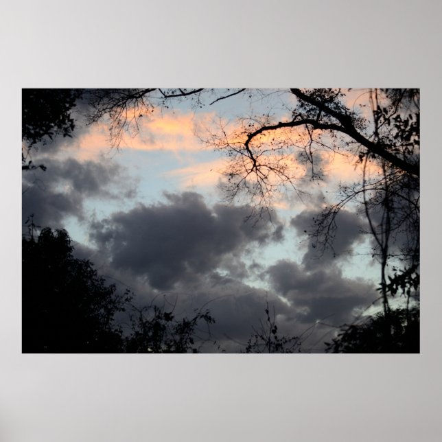 Póster A través del Poster de los árboles (Frente)