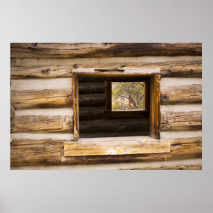 Póster A través y a través de la ventana de cabinas
