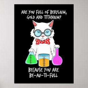 Póster A un estudiante de química le encanta el gato
