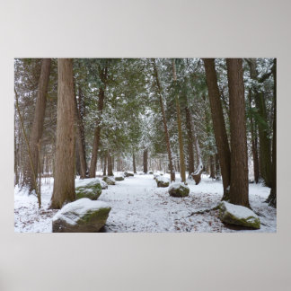 Póster A Walk in the Woods