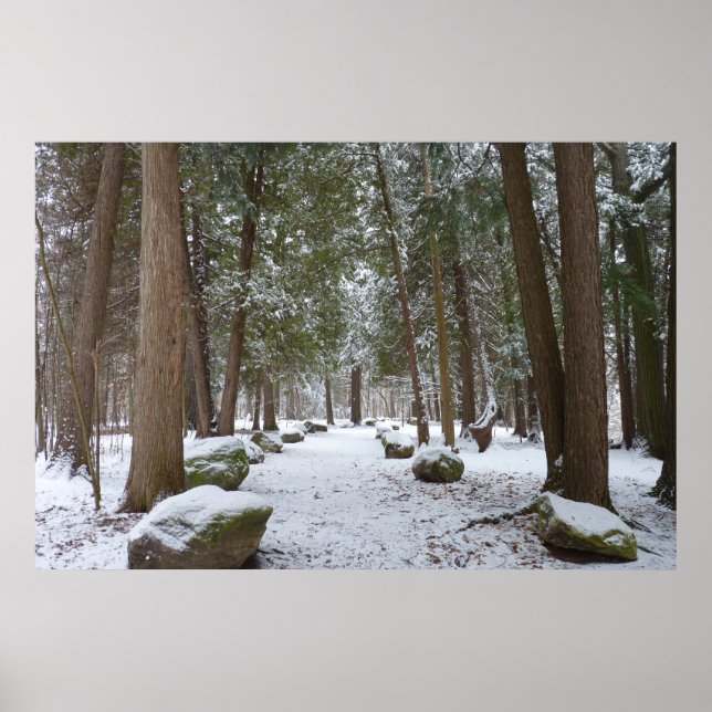 Póster A Walk in the Woods (Frente)