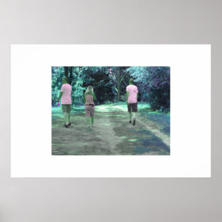 Póster A Walk To Remeber