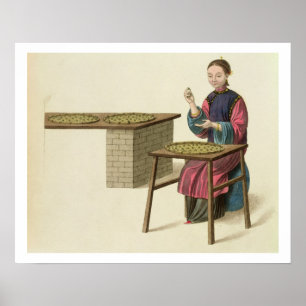 Póster A Woman Preparing Tea, plate 21 from 'The Costume