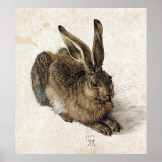 Póster A Young Hare - Albrecht Durer - c1502