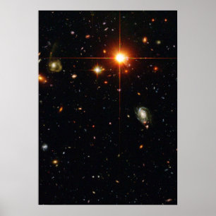 Póster A Zoo of Galaxies