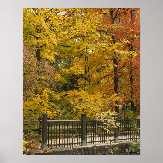 Póster aaa (Frente)