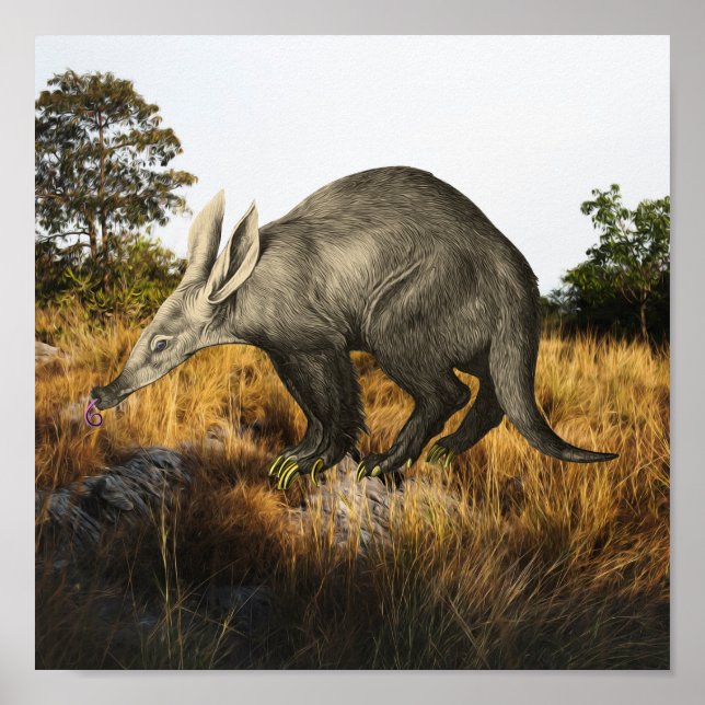 Póster Aardvark (Frente)